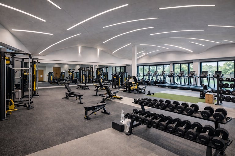Modern gym interior with dumbbells, weight benches, and exercise equipment under curved white ceiling with natural lighting
